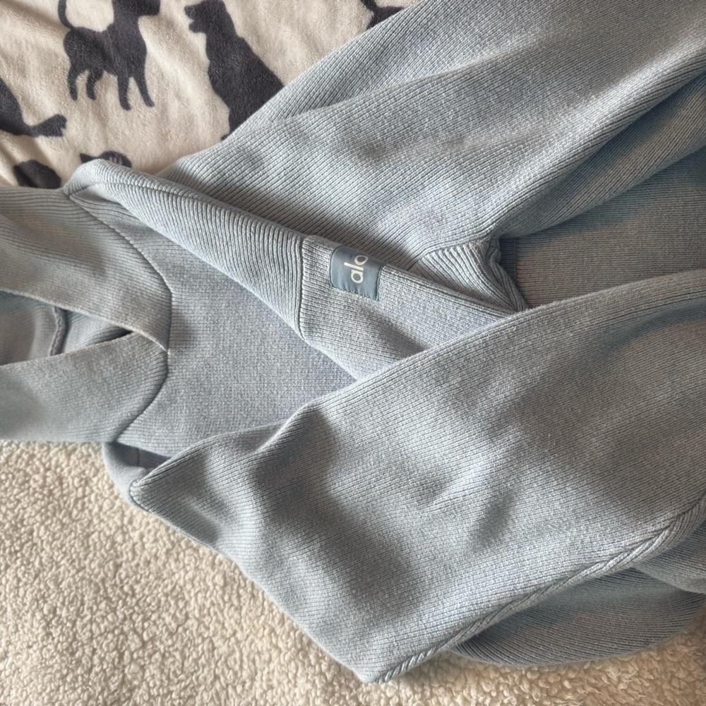 Alo Yoga Scholar Hooded Sweater- light blue